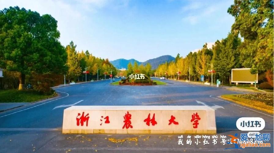 浙江農林大學本科升學情況，請問從浙江農林大學出來會很難就業嗎？