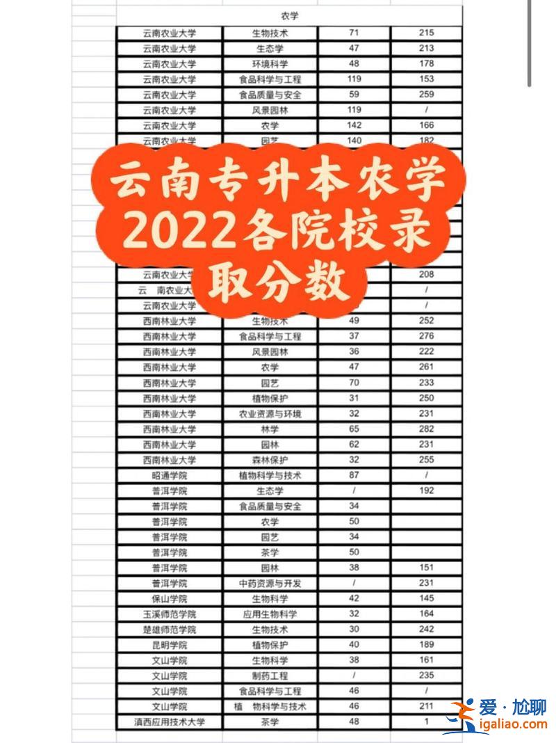 云南專升本網？云南2024專升本成績查詢官網？
