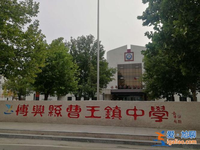 博興各中學升學率排名(博野實驗中學教學咋樣)？