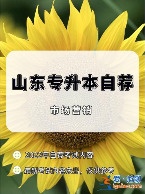 山東專升本市場營銷吧？專科市場營銷升本可以選什么專業？