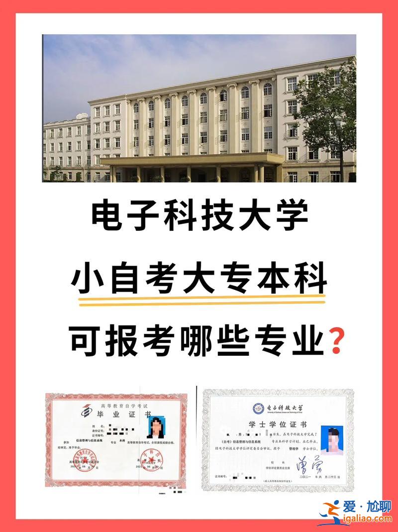 成電本科升學(xué)(電子科技大學(xué)2+2是什么意思)？