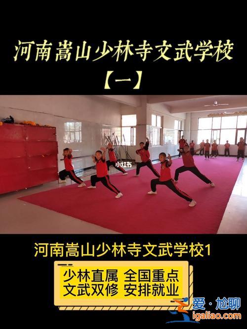 少林寺升學(xué) 嵩山少林寺文武學(xué)校可以考大學(xué)嗎？