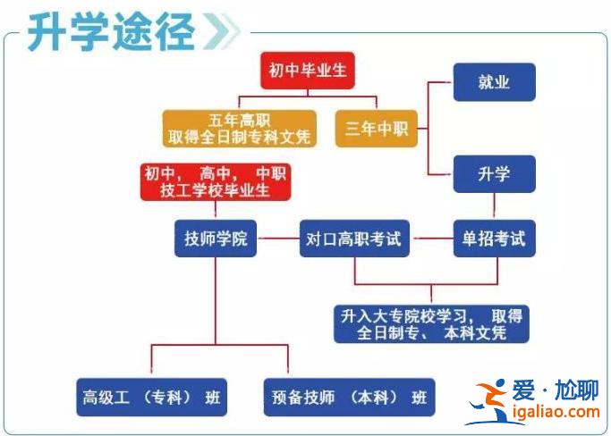 專科生升學路徑怎么寫？不同分數段適合的升學路徑有哪些？