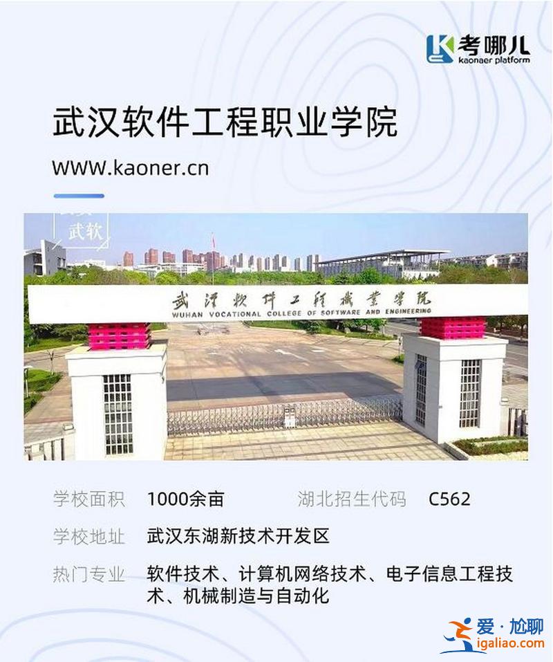 武軟可以專升本嗎(武軟就業前景如何)？