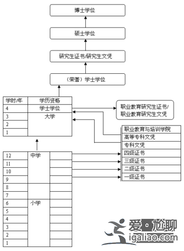 初中畢業后升學路徑怎么填 多元升學路徑詳解？
