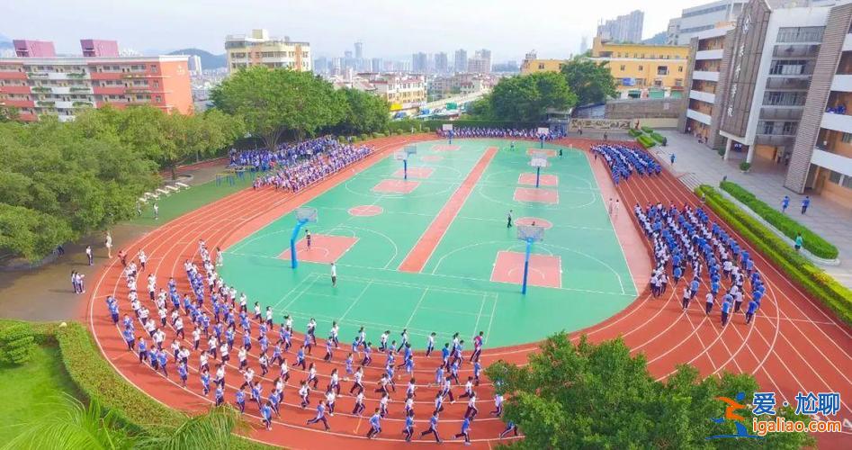 去東升學校，深圳東升學校和晟才哪個好？