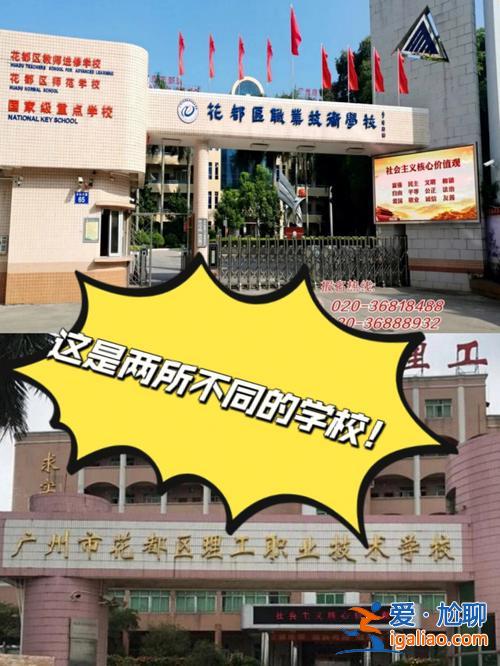 花都花廣學(xué)校升學(xué)率(鄢陵縣國慶花都學(xué)校升學(xué)率怎樣)？