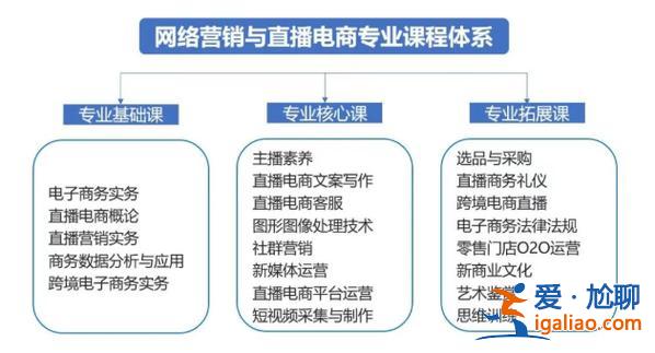 電商專升本(網絡營銷與直播電商專業(yè)能升本嗎)？
