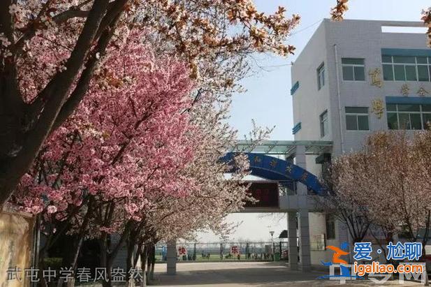 閻良區提升學歷的方式在哪，閻良職中和武屯職中哪個好？