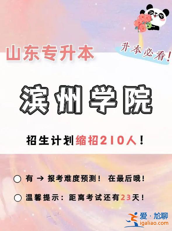 濱州專升本(濱州科技職業(yè)學(xué)院能升本嗎)？