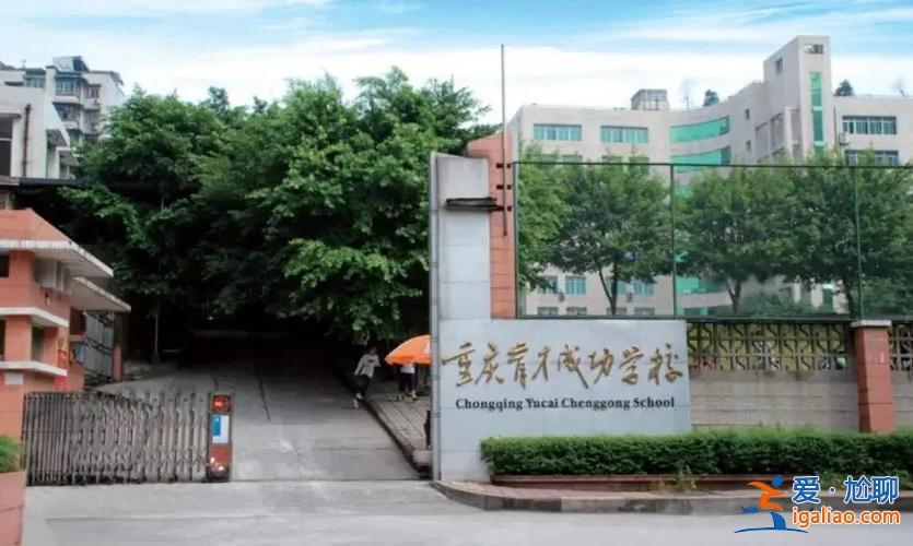 重慶楊家坪提升學歷的機構(重慶育才成功學校九龍園校區怎樣)？