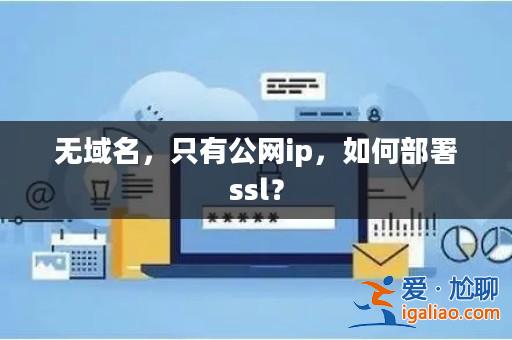 無域名,只有公網ip,如何部署ssl?? 無域名,只有公網ip,如何部署ssl??
