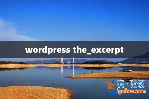 wordpress the_excerpt? wordpress the_excerpt?