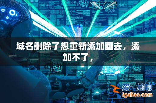 域名刪除了想重新添加回去,添加不了,? 域名刪除了想重新添加回去,添加不了,?