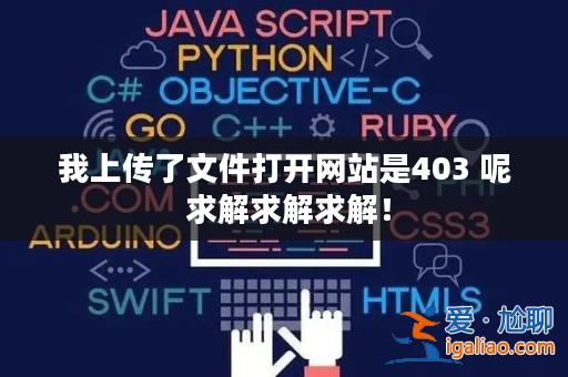 我上傳了文件打開網站是403 呢 求解求解求解！？