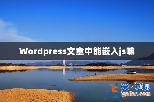 Wordpress文章中能嵌入js嘛？
