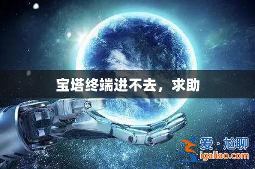 寶塔終端進不去,求助? 寶塔終端進不去,求助?