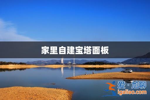 家里自建寶塔面板? 家里自建寶塔面板?