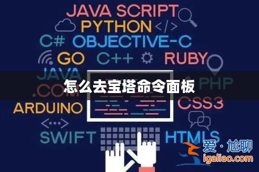 怎么去寶塔命令面板? 怎么去寶塔命令面板?