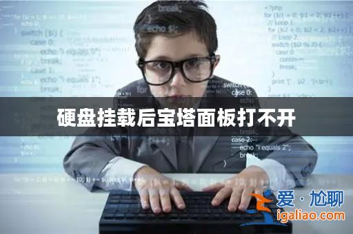 硬盤掛載后寶塔面板打不開? 硬盤掛載后寶塔面板打不開?