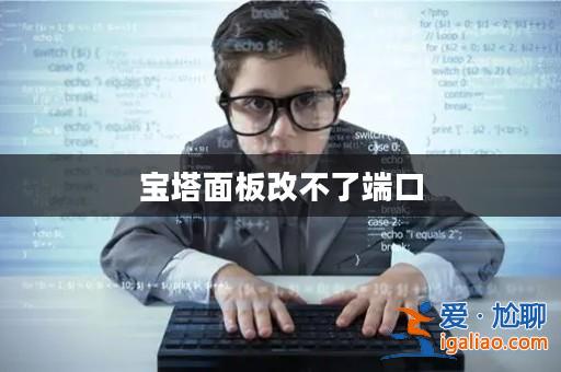 寶塔面板改不了端口? 寶塔面板改不了端口?