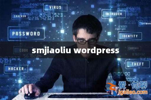 smjiaoliu wordpress？