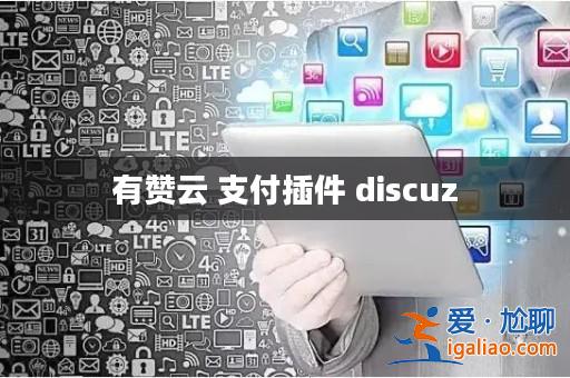 有贊云 支付插件 discuz? 有贊云 支付插件 discuz?