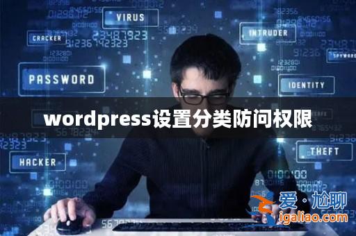 wordpress設置分類防問權限? wordpress設置分類防問權限?