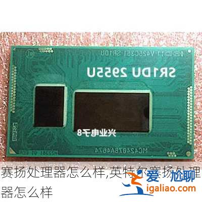 賽揚處理器怎么樣,英特爾賽揚處理器怎么樣