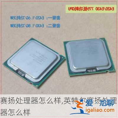賽揚處理器怎么樣,英特爾賽揚處理器怎么樣