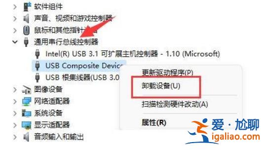 Win11移動硬盤不顯示怎么辦?Win11移動硬盤不顯示問題解析? Win11移動硬盤不顯示怎么辦?Win11移動硬盤不顯示問題解析?