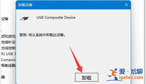 Win11移動硬盤不顯示怎么辦?Win11移動硬盤不顯示問題解析? Win11移動硬盤不顯示怎么辦?Win11移動硬盤不顯示問題解析?
