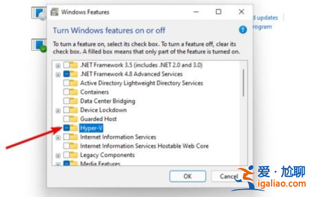 win11未能啟動(dòng)虛擬機(jī)怎么辦?win11未能啟動(dòng)虛擬機(jī)問題解析? win11未能啟動(dòng)虛擬機(jī)怎么辦?win11未能啟動(dòng)虛擬機(jī)問題解析?