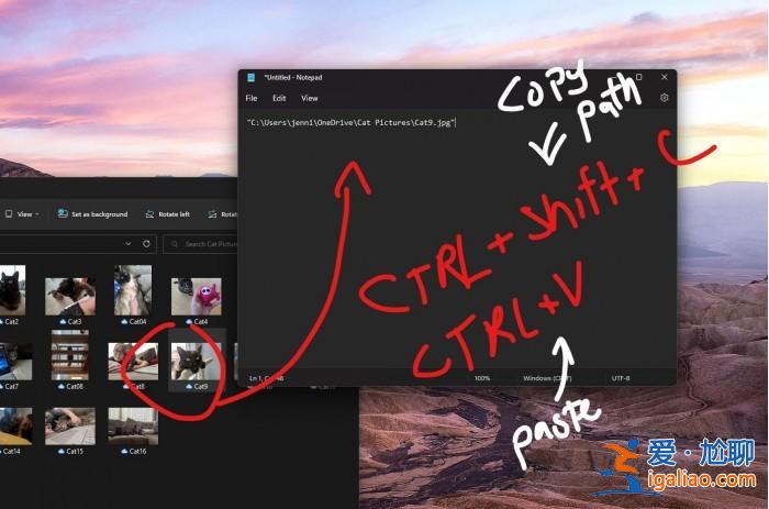 Win11 22H2小技巧:CTRL+Shift+C組合鍵可輕松復制文件路徑? Win11 22H2小技巧:CTRL+Shift+C組合鍵可輕松復制文件路徑?