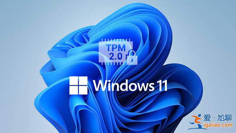 近期Windows 11更新又默認開啟了VBS 引發(fā)老生常談的各種問題？