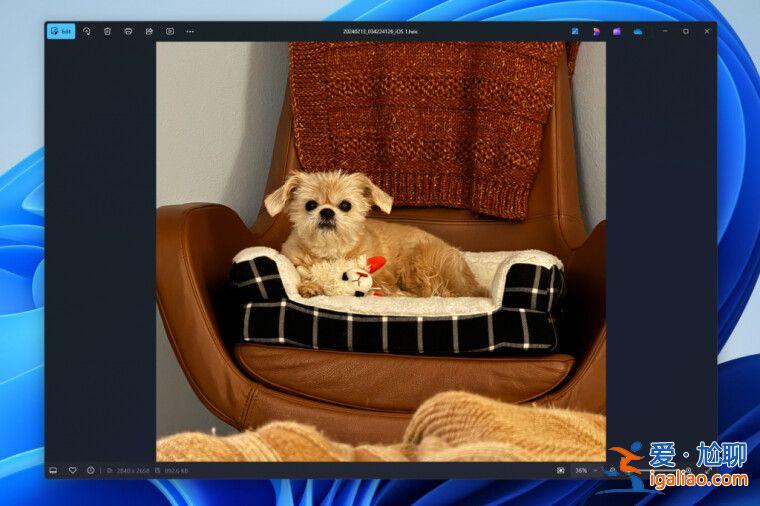微軟 Win11 照片更新:改進查看器和導入功能、查看器加速速度快? 微軟 Win11 照片更新:改進查看器和導入功能、查看器加速速度快?